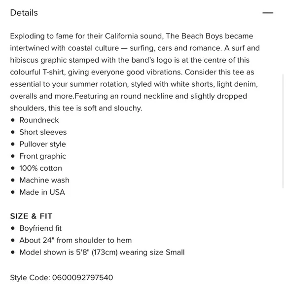 DAYDREAMER | The Beach Boys Surfs Up Boyfriend Tee - Picture 11 of 12